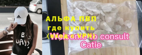 сатива Аркадак