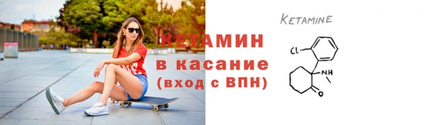 сатива Аркадак