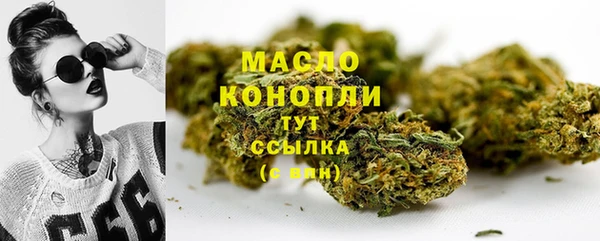 прущий лед Новозыбков