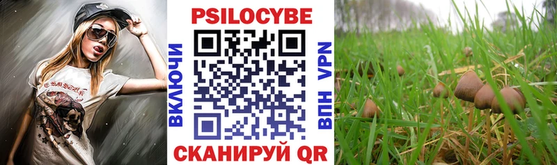 где найти наркотики  Козьмодемьянск  Галлюциногенные грибы Psilocybine cubensis 